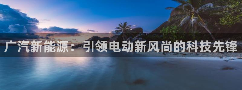 新宝gg成立