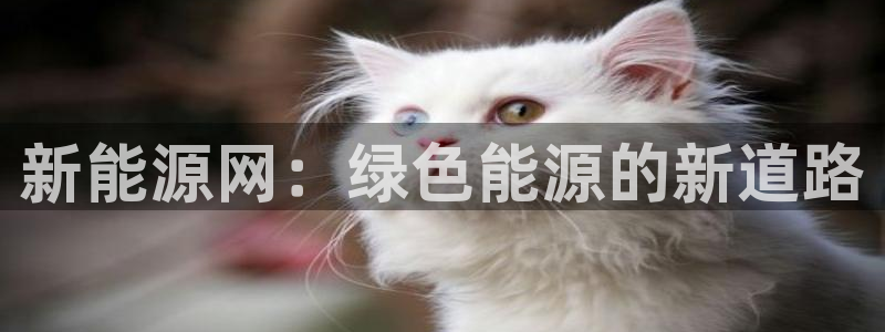新宝gg好吗：新能源网：绿色能源的新道路