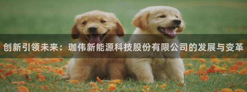 新宝gg如何注册登录：创新引领未来：珈伟