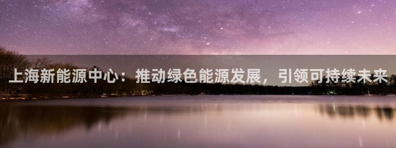 gg新宝创新：上海新能源中心：推动绿色能