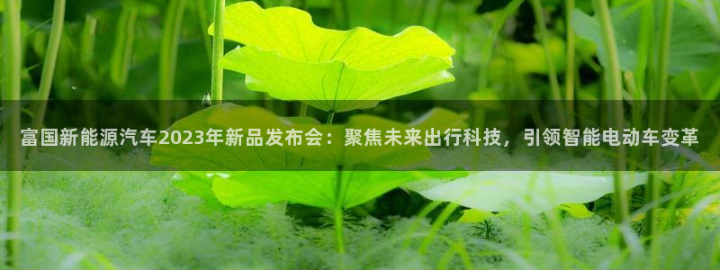 新宝gg软件:富国新能源汽车2023年新品发布会:聚焦未来出