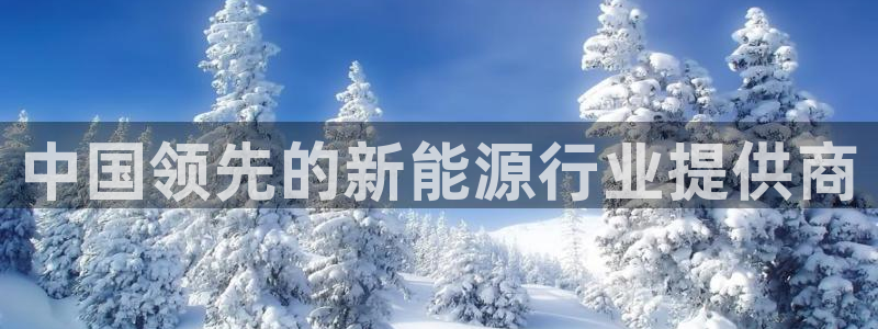 新宝gg 内部 8:中国领先的新能源行业提供商