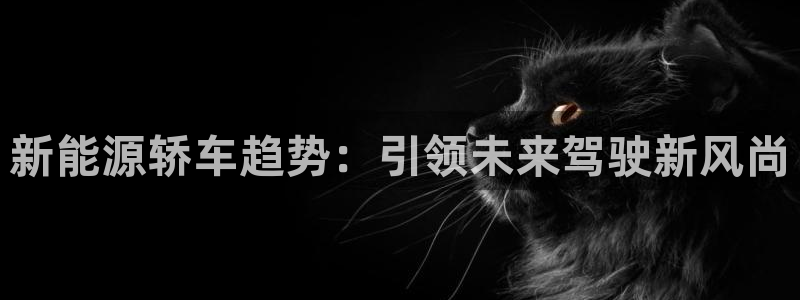 新宝GG傲78778:新能源轿车趋势:引领未来驾驶新风尚