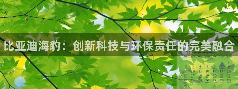 新宝gg是在境外吗