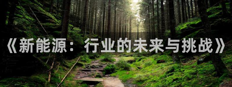新宝gg注册新宝GG注册登录:《新能源:行业的未来与挑战》