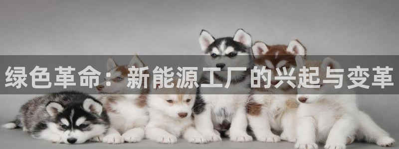 新宝GG娱乐-上皇巢网:绿色革命:新能源工厂的兴起与变革