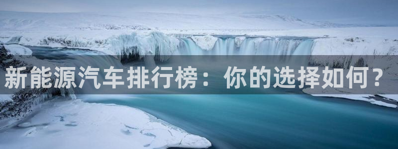 新宝gg平台注册:新能源汽车排行榜:你的选择如何?