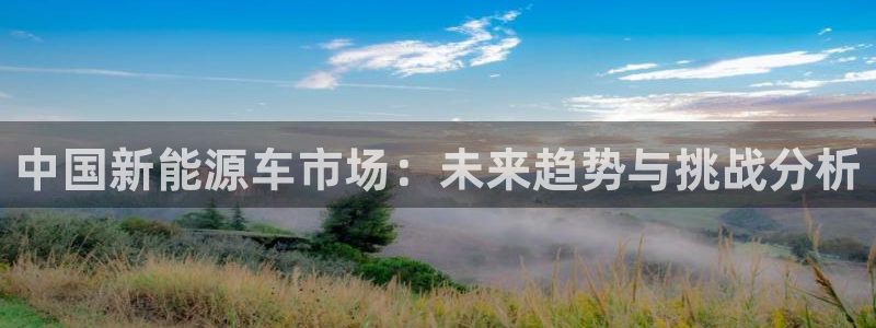 新宝gg是什么:中国新能源车市场:未来趋势与挑战分析