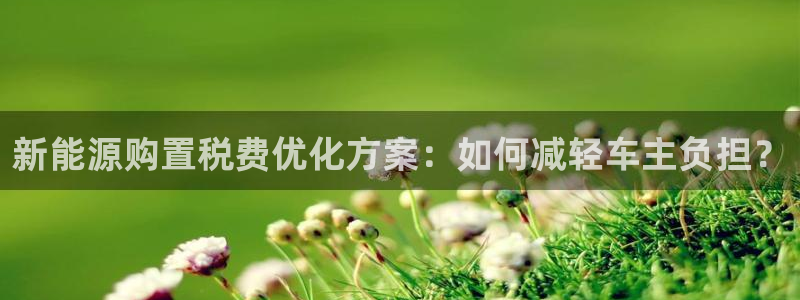 新宝gg 开户:新能源购置税费优化方案:如何减轻车主负担?
