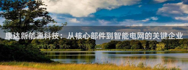 新宝gg开奖结果可信吗:康达新能源科技:从核心部件到智能电网