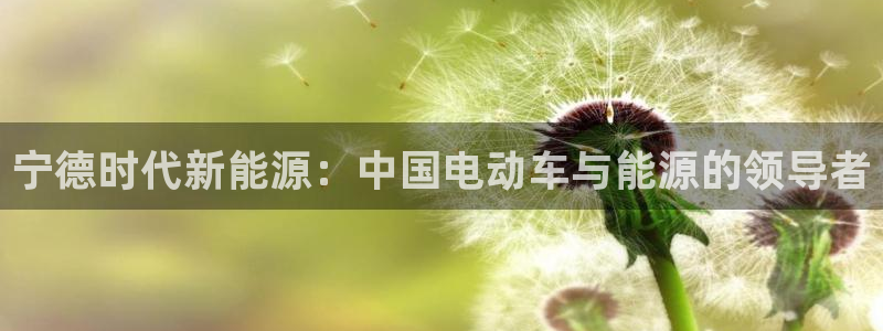 新宝gg开奖
