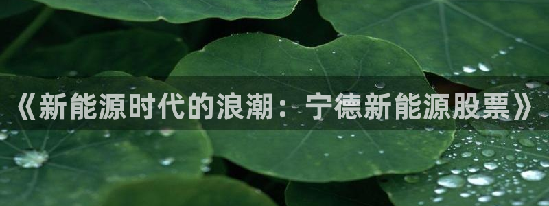 关于新宝GG