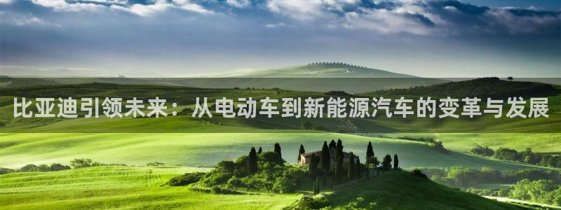 新宝 gg .com：比亚迪引领未来：从