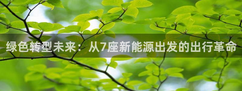 新宝gg挣钱:绿色转型未来:从7座新能源出发的出行革命
