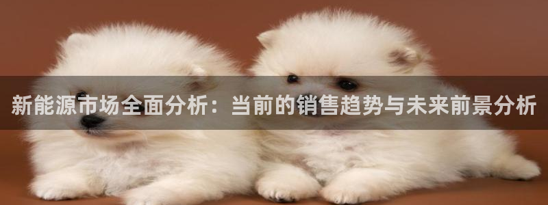 新宝gg是什么:新能源市场全面分析:当前的销售趋势与未来前景