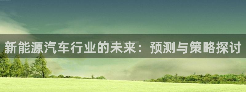 新宝gg资料:新能源汽车行业的未来:预测与策略探讨