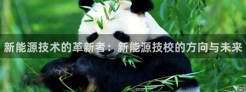 新宝GG登录③:新能源技术的革新者:新能源技校的方向与未来