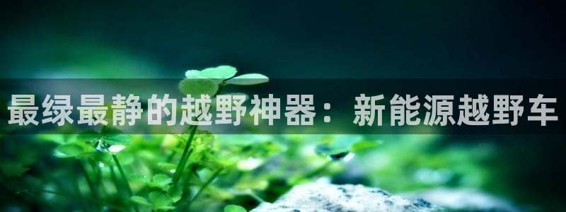 新宝GG寻29999:最绿最静的越野神器:新能源越野车