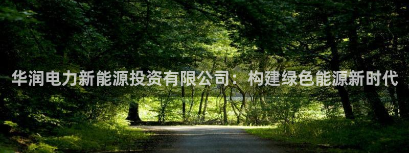 新宝创造Gg:华润电力新能源投资有限公司:构建绿色能源新时代