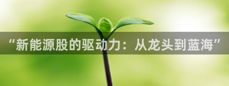新宝gg龙虎规则:“新能源股的驱动力:从龙头到蓝海”