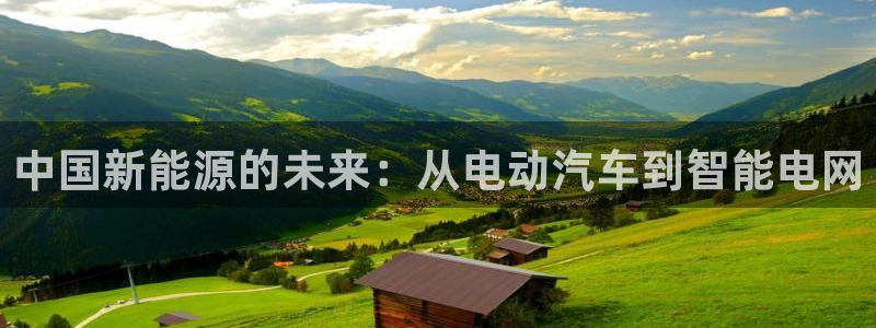 新宝gg黑平台:中国新能源的未来:从电动汽车到智能电网