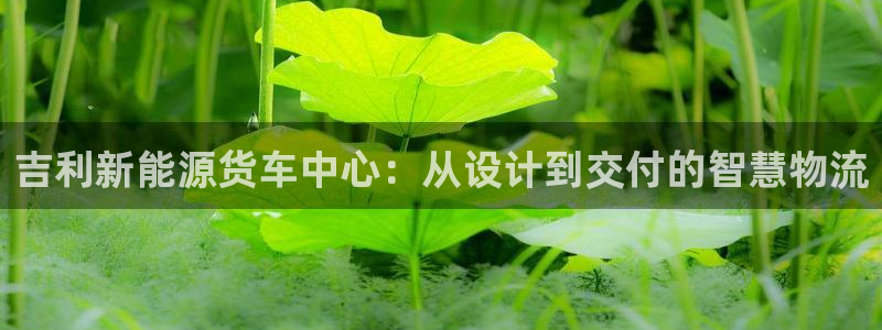 新宝gg娱乐平台:吉利新能源货车中心:从设计到交付的智慧物流