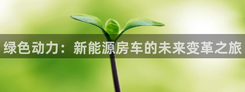 新宝gg返点:绿色动力:新能源房车的未来变革之旅