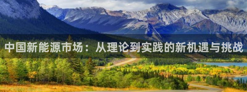 新宝gg注册登录网址:中国新能源市场:从理论到实践的新机遇与