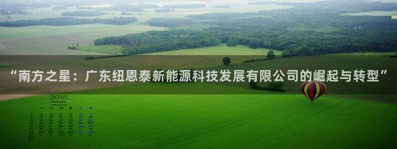怎么下载新宝gg:“南方之星:广东纽恩泰新能源科技发展有限公