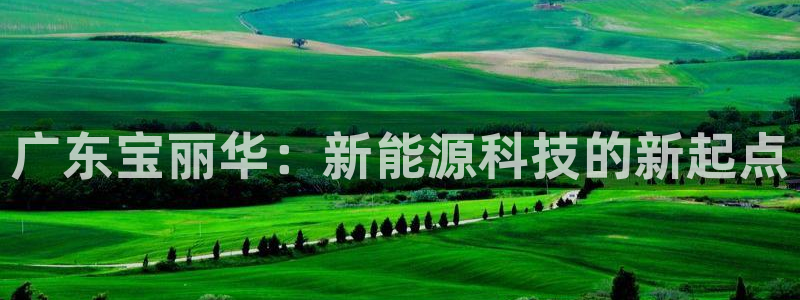 新宝gg资料:广东宝丽华:新能源科技的新起点