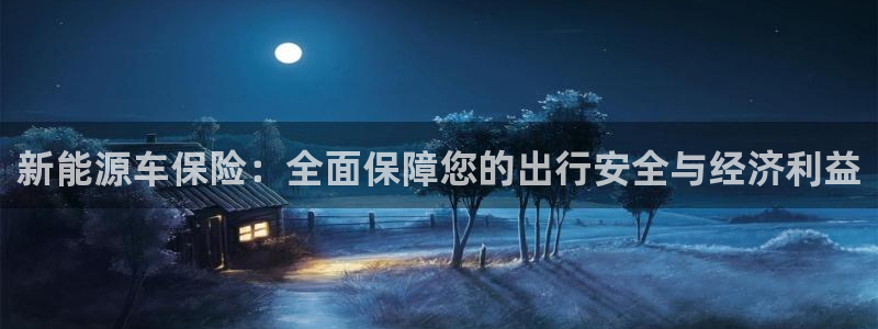 新宝GG登录③:新能源车保险:全面保障您的出行安全与经济利益