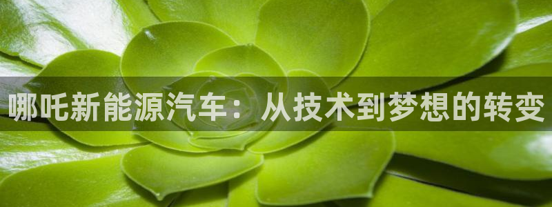 c新宝GG:哪吒新能源汽车:从技术到梦想的转变