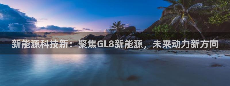 新宝gg帐号注册：新能源科技新：聚焦GL