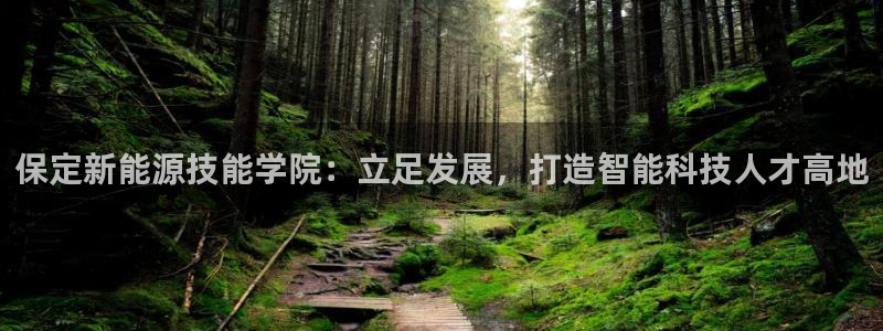 菲律宾新宝gg娱乐