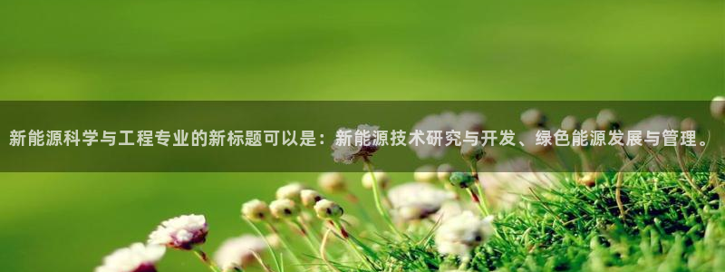 新宝GG的老板：新能源科学与工程专业的新