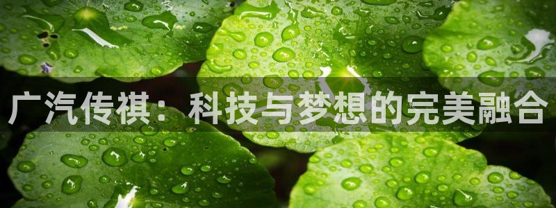 菲律宾新宝gg娱乐